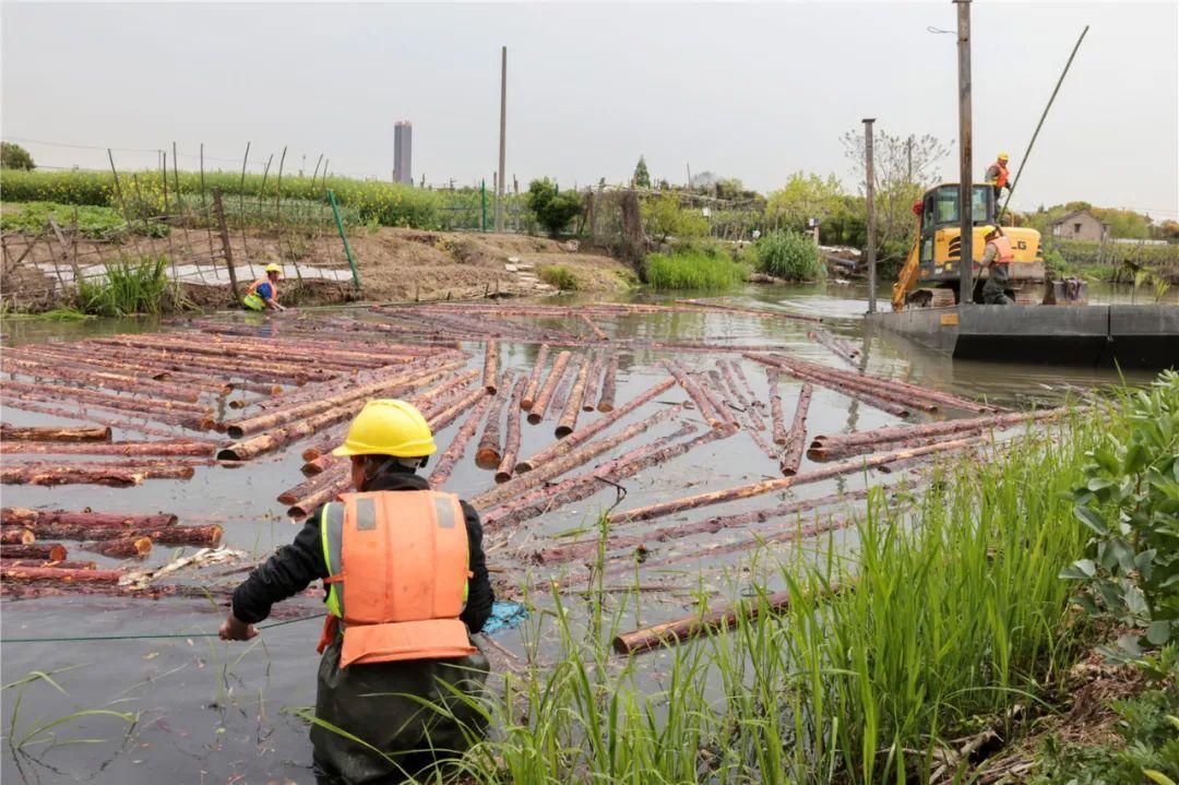 改善水環境！徐行122條段村級河道用木樁對河岸進行加固整治