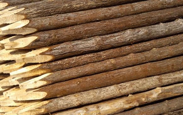 松木樁梢徑是什么意思-松木樁梢徑概念
