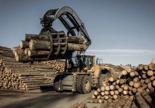 中國軟木進口疲軟但有望回升，與俄木材關系得到加強！