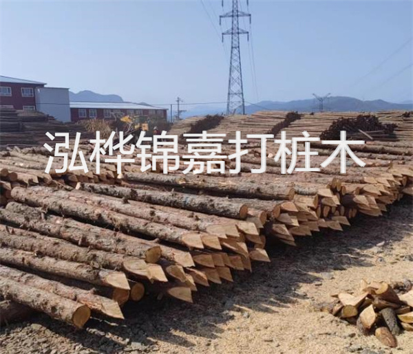 高效、穩定的松木樁圍護施工圖