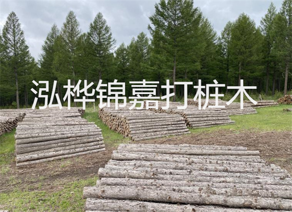 浙江防洪松木樁施工：守護家園的堅實堡壘