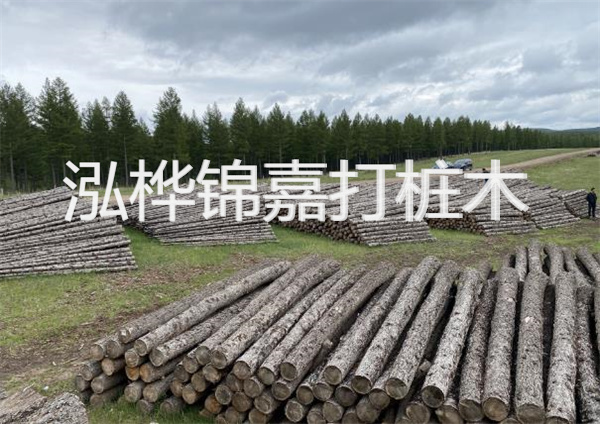浙江河道松木樁施工-打造安全穩固的水域基礎設施