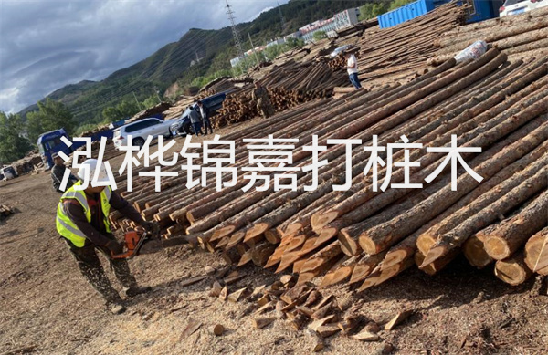 圓松木樁施工方法：提升工程穩定性的最佳選擇