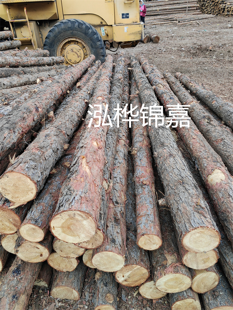 長沙松木樁施工單位-打造穩固的基礎