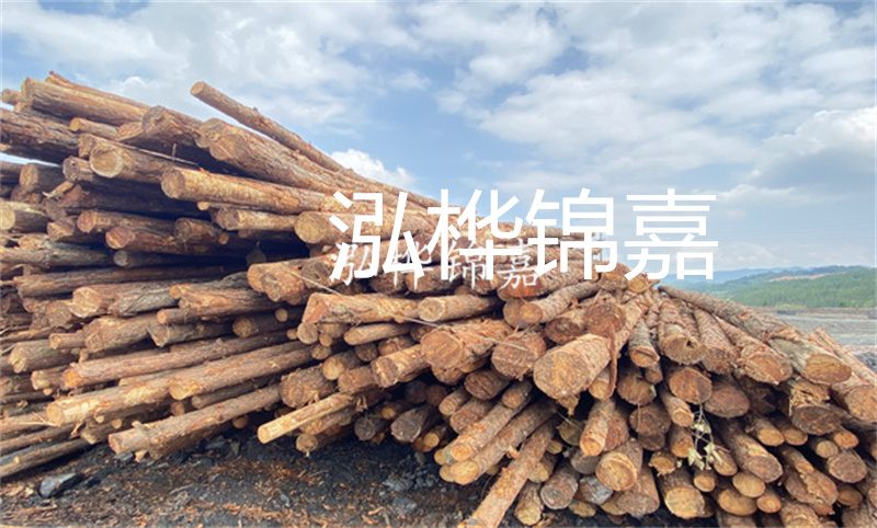 濮陽松木樁，卓越品質，安全可靠