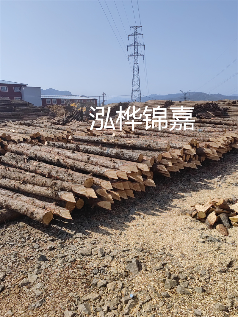 東莞市松木樁供應商推薦——哪里有松木樁？