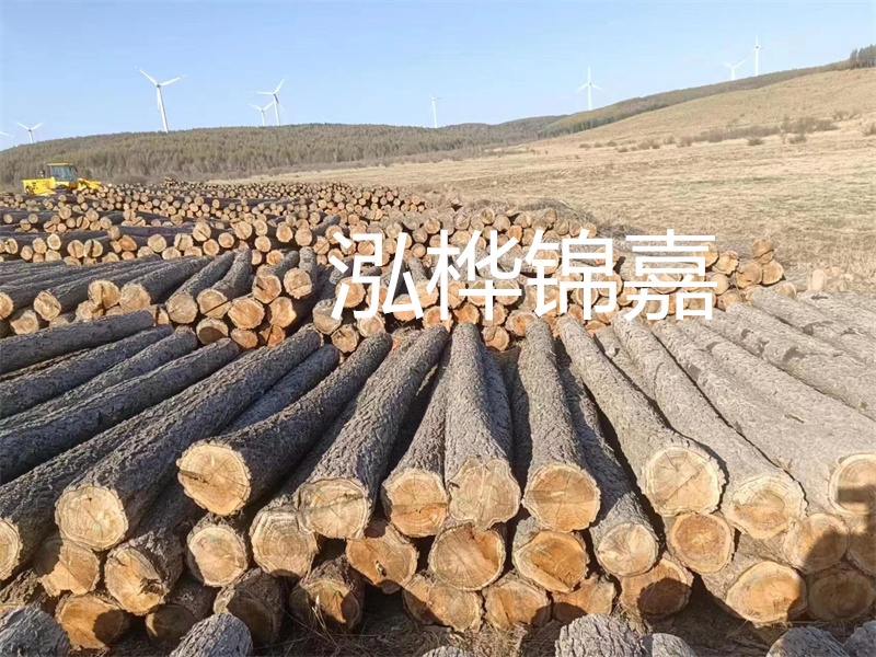 瀘州松木樁，千年不腐，品質可靠，施工方便！