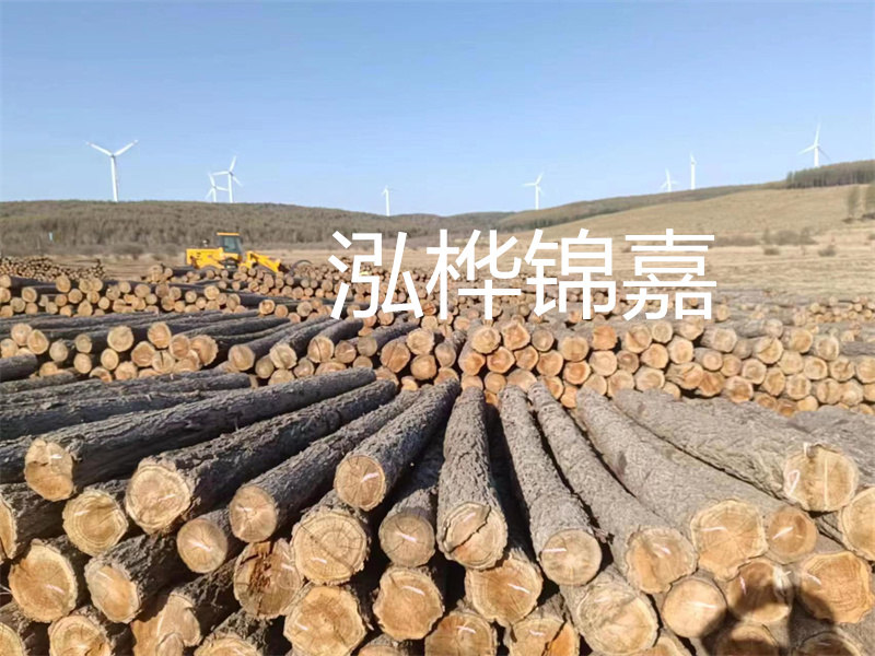 惠州哪里松木樁便宜！